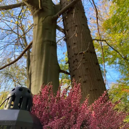 Le Dome De Namur - Une Nuit Insolite Dans Les Bois Exterior photo