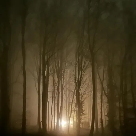 Le Dome De Namur - Une Nuit Insolite Dans Les Bois Exterior photo