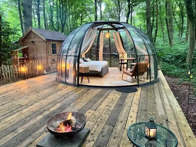 Le Dome De Namur - Une Nuit Insolite Dans Les Bois