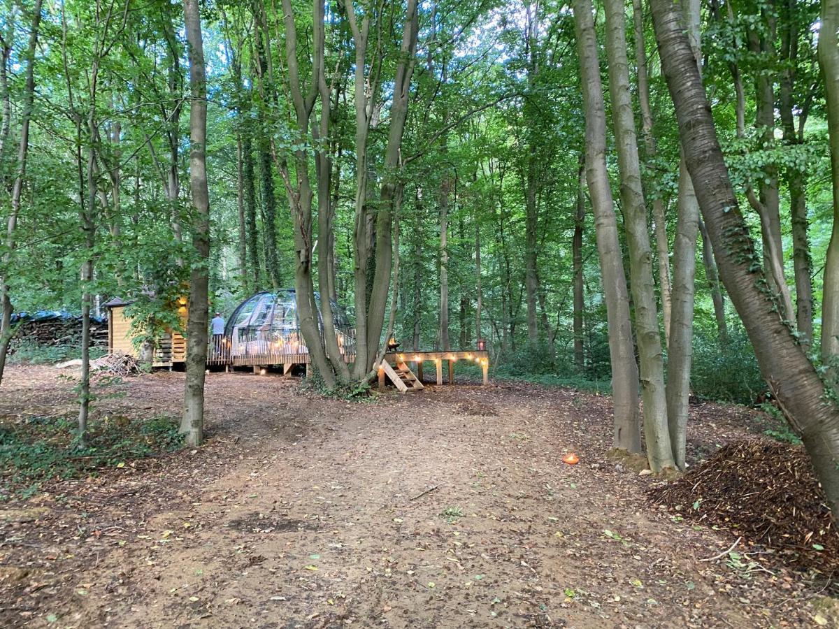 Le Dome De - Nuit Insolite Dans Les Bois Campsite Namur