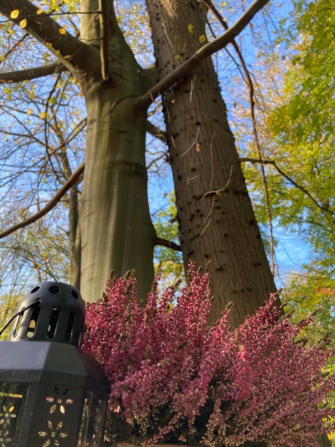 Le Dome De - Nuit Insolite Dans Les Bois