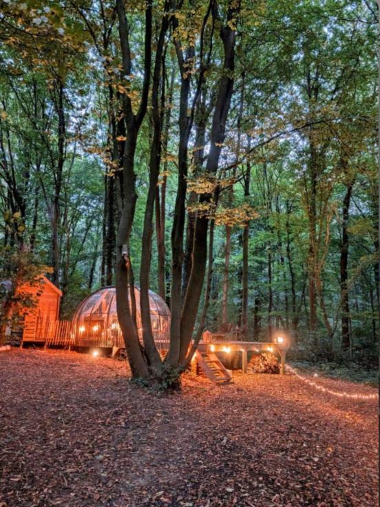 Campsite Le Dome De - Nuit Insolite Dans Les Bois