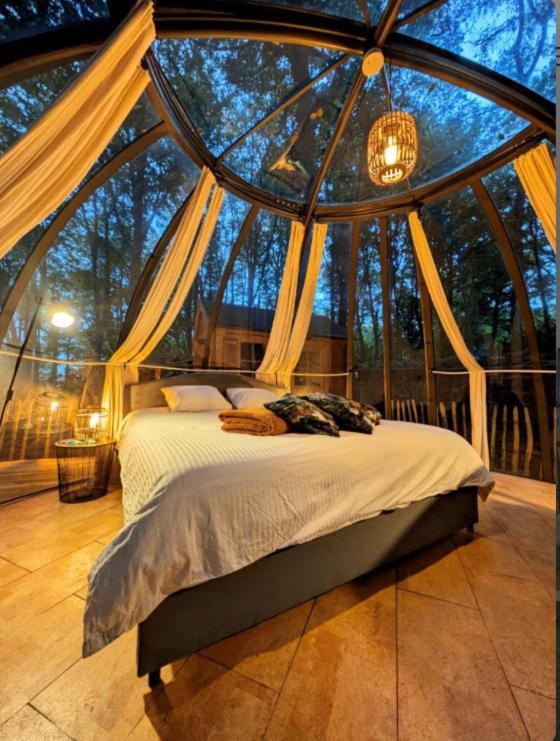 Le Dome De - Nuit Insolite Dans Les Bois